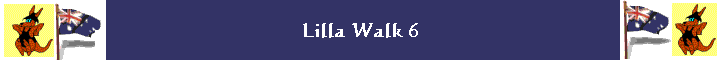 Lilla Walk 6