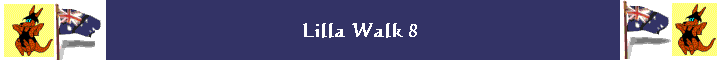 Lilla Walk 8