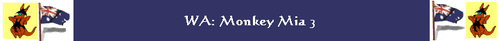 WA: Monkey Mia 3