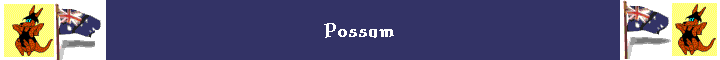 Possum