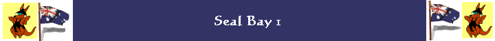 Seal Bay 1