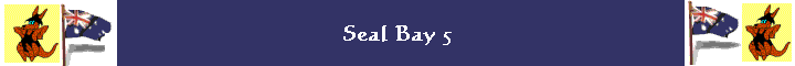 Seal Bay 5