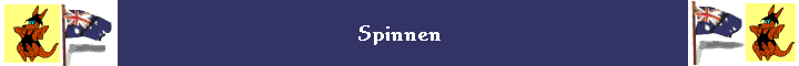 Spinnen