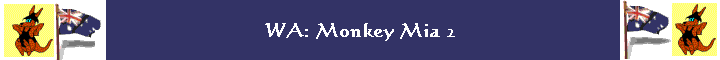 WA: Monkey Mia 2