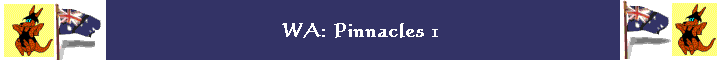 WA: Pinnacles 1